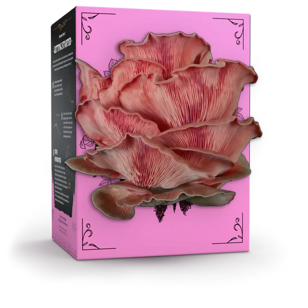 Pink Oyster Organic Mushroom Grow-Your-Own Kit