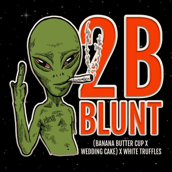 2 B Blunt (6 Seeds)